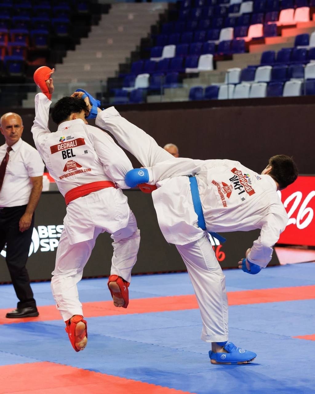 Точная техника удара в поединке WKF